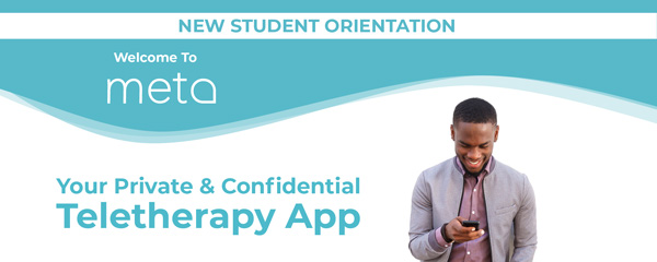 Your Private and Confidential Teletherapy App